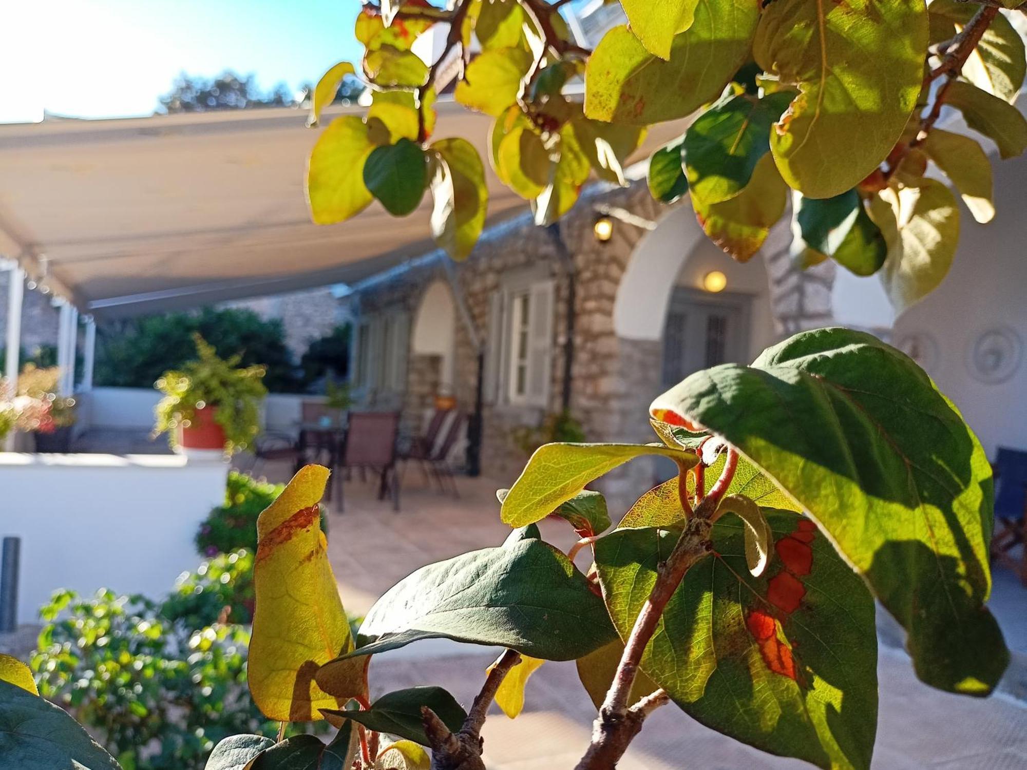 Smaragdas Paradise Ύδρα Εξωτερικό φωτογραφία
